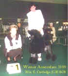 Ahornstreet Black for Ever (Elaine) Judge Mrs. E.Cartledge (GB)