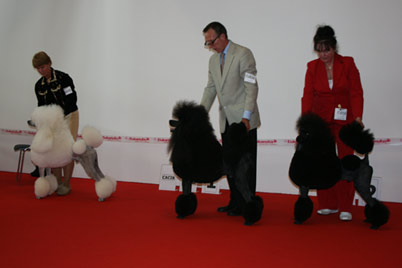 World Dog Show Herning 2010